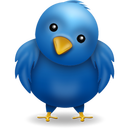 tweet birds